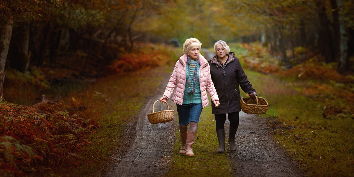 Cuando cae el otoño